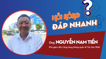 Bagaimana Bandara Tan Son Nhat menanggapi penundaan penerbangan dan penundaan penanganan bagasi selama Tet (Tahun Baru Imlek)?
