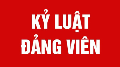 Ủy ban Kiểm tra Tỉnh ủy Gia Lai thi hành kỷ luật cán bộ