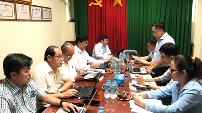 Thành đoàn và Sở Khoa học và Công nghệ thành phố Đồng Nai phối hợp triển khai các hoạt động khoa học công nghệ, đổi mới sáng tạo, chuyển đổi số
