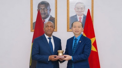 ហុងញ៉ុង ជំរុញកិច្ចសហប្រតិបត្តិការកសិកម្មរវាងវៀតណាម និងអង់ហ្គោឡា។