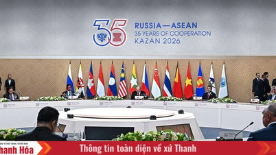 Rusia dan ASEAN memperkuat kemitraan strategis mereka, memperluas kerja sama di berbagai bidang.