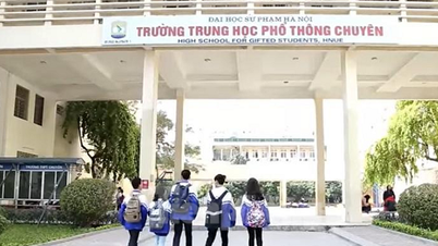 The Specialized High School of Pedagogy has announced the entrance exam results for 10th grade in 2026. Which specialized program has the highest cut-off score?