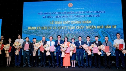 Viễn Chinh Group mở rộng đầu tư tại Huế