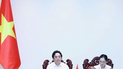 Pertemuan daring para Ketua Sub-komite Regional Asia-Pasifik Majelis Parlemen Francophone