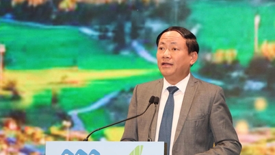 Gia Lai powołuje Komitet Sterujący w celu zorganizowania Roku Kwantowego Gia Lai 2026