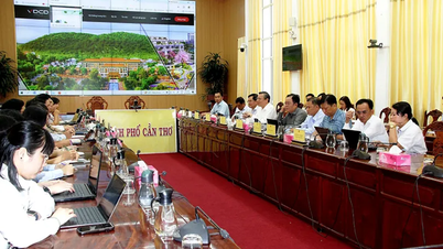 กลุ่มบริษัท VDCD มีความประสงค์ที่จะจัดตั้งศูนย์นวัตกรรมในเมืองเกิ่นโถ