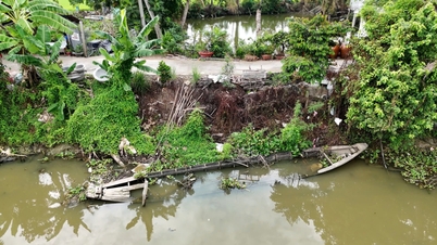 Inspect and survey landslide sites on the northern bank of the Duong Van Duong canal in Hau Thanh commune.
