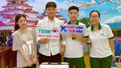 Tiết lộ lý do khiến lao động Việt Nam đi làm việc ở nước ngoài giảm trong 6 tháng đầu năm 2026