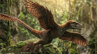 Nova espécie de dinossauro com penas descoberta na China.