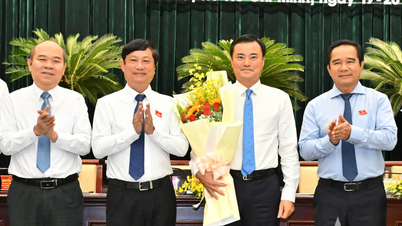 HĐND TP Hồ Chí Minh miễn nhiệm một Phó chủ tịch UBND thành phố