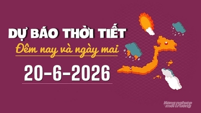 कल, 20 जून, 2026 के लिए मौसम का पूर्वानुमान: मध्य वियतनाम में गर्म मौसम रहेगा, जबकि दक्षिणी वियतनाम में छिटपुट बारिश होगी।