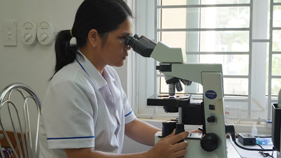 การป้องกันการกลับมาของโรคมาลาเรียในพื้นที่ชายแดนจังหวัดกวางตรี