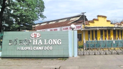 Ha Long canned goods resume production and business after food safety violation scandal.