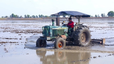 Khung thời vụ mới nhất "né" hạn mặn do El Nino cho vụ đông xuân 2026-2027, Cục Trồng trọt và BVTV khuyến cáo gì?