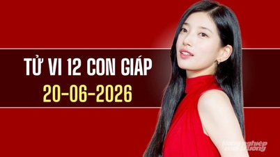 Horoskop untuk 12 tanda zodiak pada 20 Jun 2026: Kuda, Kambing, dan Anjing akan mengalami kejayaan.