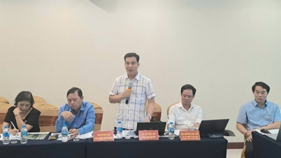 Dengan lebih dari 84.000 hektar lahan yang ditanami bambu dan rotan, bagaimana provinsi Thai Nguyen (dahulu Bac Kan) dapat mengubahnya menjadi uang?