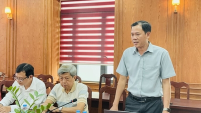În ceea ce privește reorganizarea satelor și zonelor rezidențiale din Tay Ninh (inclusiv fosta provincie Long An), secția Tan Ninh a organizat această importantă întâlnire.