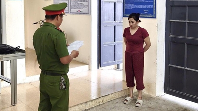 Được giao giữ tiền dưỡng già, cháu gái chiếm đoạt 800 triệu đồng