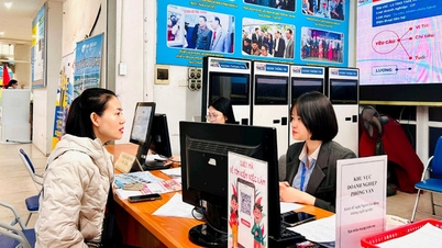 Liên thông dữ liệu để ngăn chặn trục lợi bảo hiểm thất nghiệp