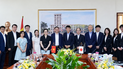 Vietnam und Japan stärken die professionelle Zusammenarbeit im Bereich des geistigen Eigentums.