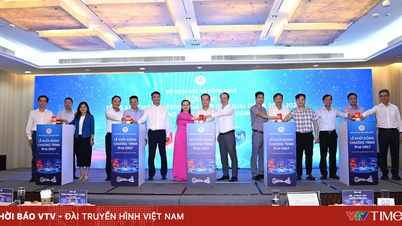 Vietnam menempati peringkat ke-7 di dunia dalam tingkat adopsi IPv6.
