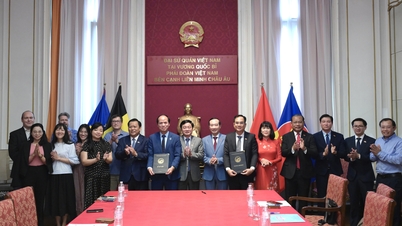 Tay Ninh - Asosiasi Intelektual Vietnam di Belgia dan Luksemburg memperkuat kerja sama bilateral.