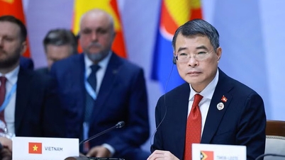 Vietnam mengusulkan tiga arah untuk meningkatkan hubungan ASEAN-Rusia.