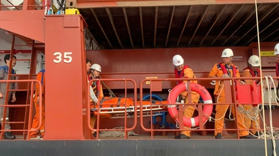 VOSA Nha Trang heeft, in samenwerking met MRCC, snel medische noodhulp verleend aan een buitenlands bemanningslid dat op zee een beroerte had gekregen.