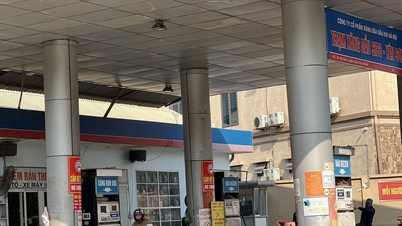 Giá xăng dầu hôm nay 23/6: GIANGNAMPETROL, Petrolimex, PVOIL Mipec