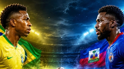Lien de diffusion en direct du match de football Brésil-Haïti, le 20 juin à 7h30.