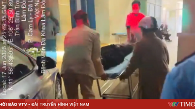 ٹریفک پولیس نے فالج کے شکار ایک نوجوان کو ہنگامی علاج کے لیے ہسپتال منتقل کرنے کے لیے خصوصی گاڑی کا استعمال کیا۔
