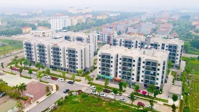 Tập đoàn BGI sẽ làm nhà ở xã hội tại Đan Phượng và Hải Phòng