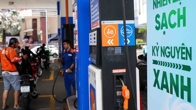 Ce reduceri de taxe ar duce la o scădere a prețului benzinei E10?