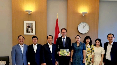 Da Nang renforce la coopération internationale dans les domaines du tourisme, de la culture et du sport en Europe.
