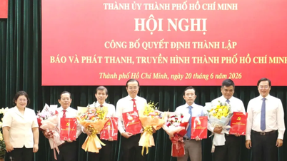 Towarzysz Le Van Minh został mianowany dyrektorem generalnym gazety, radia i telewizji miasta Ho Chi Minh.