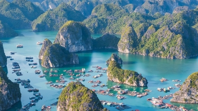 Daya saing Vietnam termasuk yang terbaik di dunia.