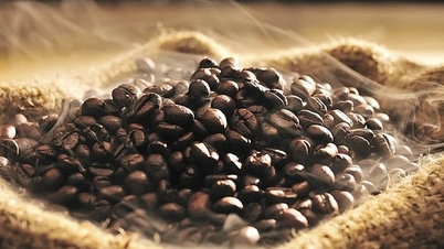 Kaffepriser idag, 20 juni 2026: Inhemska priser ökar något.