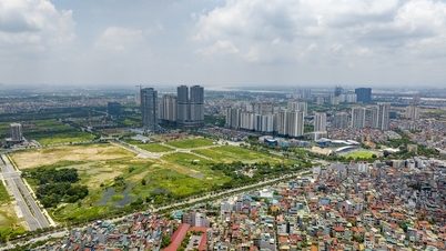 Revise the fundamental land policy and submit it to the 3rd Central Committee meeting for consideration.
