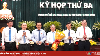 Sở Giáo dục và Đào tạo TP Hồ Chí Minh có Giám đốc mới