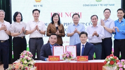 Syndicat des travailleurs de la santé du Vietnam : Un soutien solide aux travailleurs dans leur mission de prendre soin de la santé de la population.