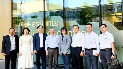 Da Nang város vezetői egy digitális kormányzati modellt látogatnak meg Észtországban.