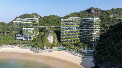 จากใบรับรองด้านสิ่งแวดล้อมสู่ความได้เปรียบในการแข่งขัน: เรื่องราวการดำเนินงานของ Flamingo Cat Beach