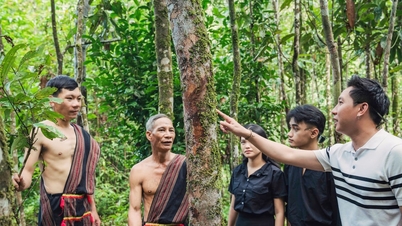 Khu vực phía tây Đà Nẵng:Vùng đệm sinh thái hay vùng phát triển mới?