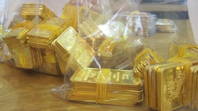 Pada pagi hari tanggal 20 Juni, harga batangan emas dan cincin emas SJC kembali naik.