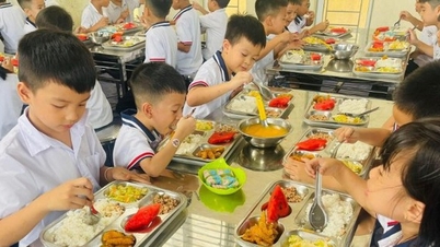 학교 급식 트레이를 친환경적이고 지역 특색에 맞게 바꾸는 추세.