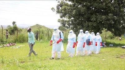 Lebih dari 230 orang telah meninggal akibat wabah varian langka virus Ebola.