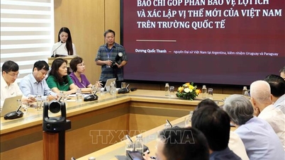 Promouvoir l'image du Vietnam dans l'écosystème des médias numériques.