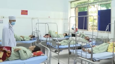 Xác định vi khuẩn Salmonella gây ngộ độc bánh mì khiến 290 người nhập viện ở Đồng Tháp