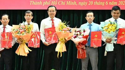 ສະຫາຍ ເລ ວັນ ມິງ ໄດ້ຮັບການແຕ່ງຕັ້ງເປັນຜູ້ອຳນວຍການໃຫຍ່ສຳນັກງານສື່ມວນຊົນ, ວິທະຍຸ ແລະ ໂທລະພາບນະຄອນໂຮ່ຈິມິນ.