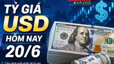 Tỷ giá USD hôm nay 20/6: Đồng Đô la Mỹ 'chợ đen' bán ra 26.600 đồng/USD